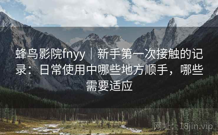 蜂鸟影院fnyy｜新手第一次接触的记录：日常使用中哪些地方顺手，哪些需要适应