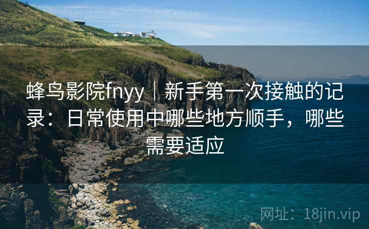 蜂鸟影院fnyy｜新手第一次接触的记录：日常使用中哪些地方顺手，哪些需要适应
