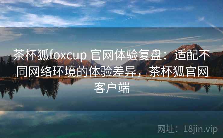 茶杯狐foxcup 官网体验复盘：适配不同网络环境的体验差异，茶杯狐官网客户端