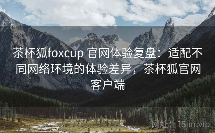 茶杯狐foxcup 官网体验复盘：适配不同网络环境的体验差异，茶杯狐官网客户端