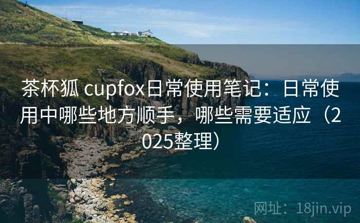 茶杯狐 cupfox日常使用笔记：日常使用中哪些地方顺手，哪些需要适应（2025整理）