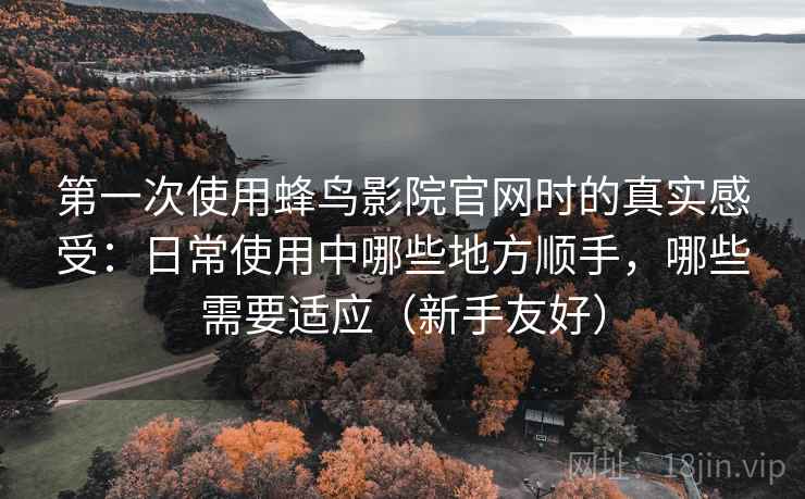 第一次使用蜂鸟影院官网时的真实感受：日常使用中哪些地方顺手，哪些需要适应（新手友好）